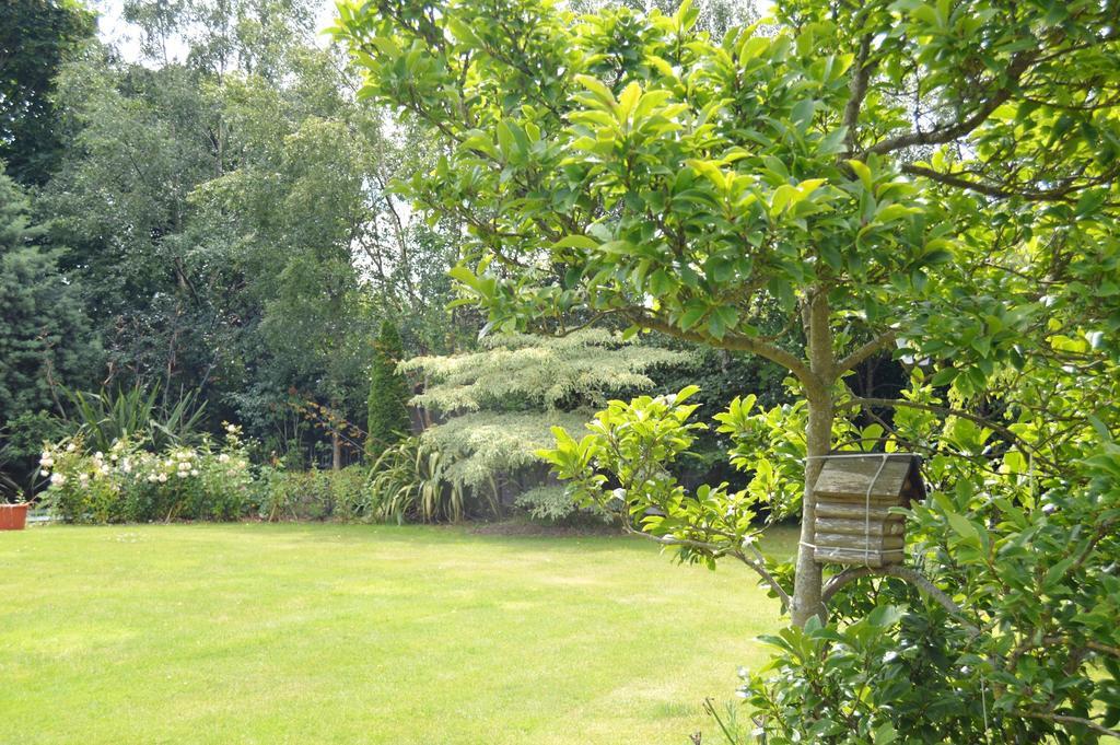 Beechwood Country House Pensionat Malahide Eksteriør billede